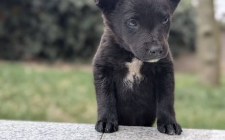 Kleine Seele Marina will umsorgt werden