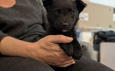 Kleine Seele Marina will umsorgt werden