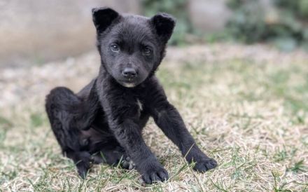 Kleine Seele Marina will umsorgt werden