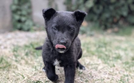 Kleine Seele Marina will umsorgt werden