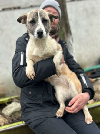 Praline sucht ihr Für-immer-Zuhause