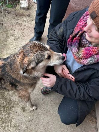 Hannibal sucht sein Für-immer-Zuhause