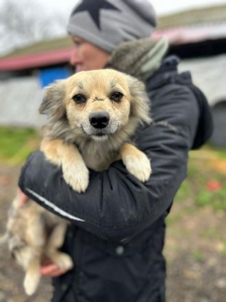 Kindra sucht ihr Für-immer-Zuhause