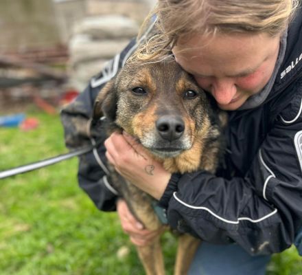 Bastian sucht sein Für-immer-Zuhause