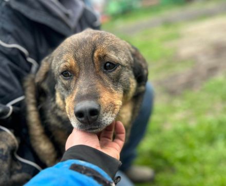 Bastian sucht sein Für-immer-Zuhause