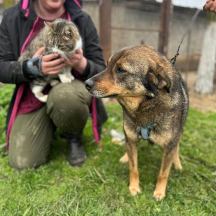 Bastian sucht sein Für-immer-Zuhause