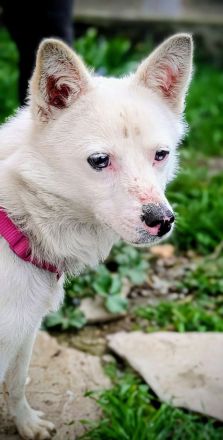 Twix sucht sein Für-immer-Zuhause