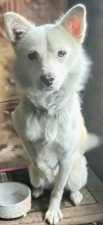 Twix sucht sein Für-immer-Zuhause