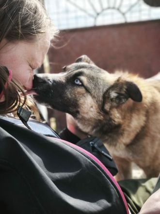 Jojo sucht ihr Für-immer-Zuhause
