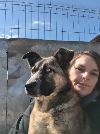 Jojo sucht ihr Für-immer-Zuhause