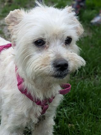 Casper sucht sein Für-immer-Zuhause