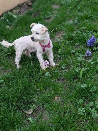 Casper sucht sein Für-immer-Zuhause