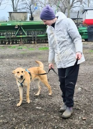 Lemmy sucht sein Für-immer-Zuhause