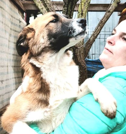 Soare sucht ihr Für-immer-Zuhause