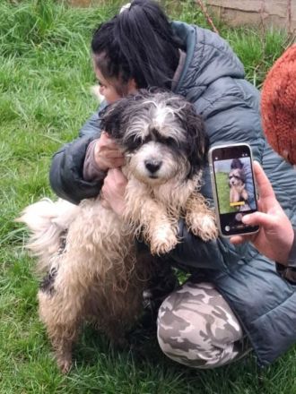 Waldi sucht sein Für-immer-Zuhause