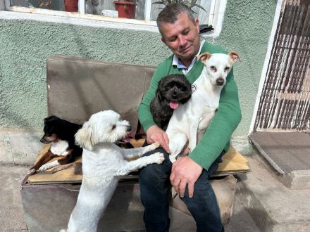 Nicola sucht sein Für-immer-Zuhause