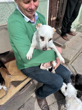 Nicola sucht sein Für-immer-Zuhause