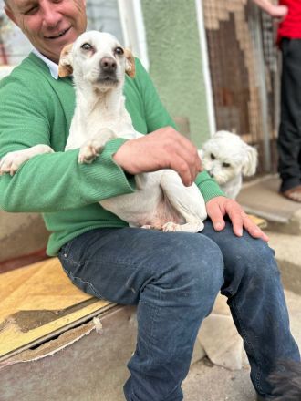 Nicola sucht sein Für-immer-Zuhause