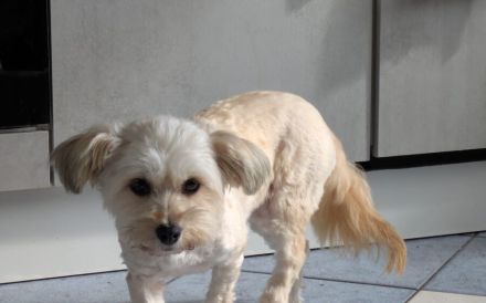 Bezaubernde Maria-Theresia