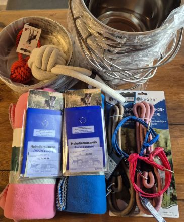 NUR NOCH 0/3 Pyrenäenberghund Welpen