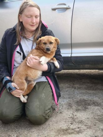 Zira sucht ihr Für-immer-Zuhause