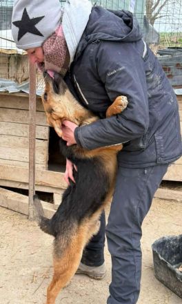 Grisu sucht sein Für-immer-Zuhause