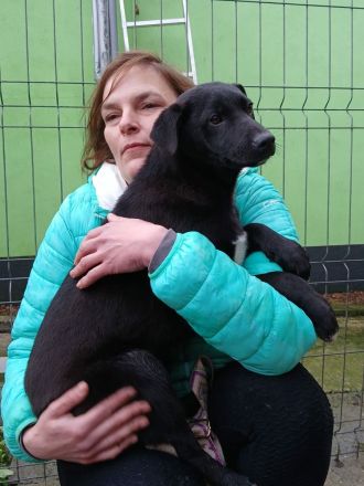 James sucht sein Für-immer-Zuhause