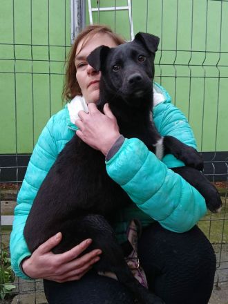 James sucht sein Für-immer-Zuhause