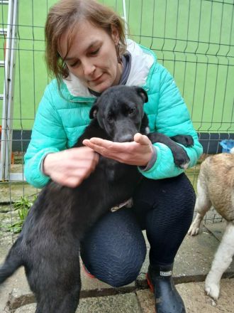 James sucht sein Für-immer-Zuhause