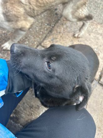 James sucht sein Für-immer-Zuhause