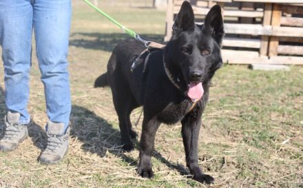 Anastasia ist bereit für neue Abenteuer