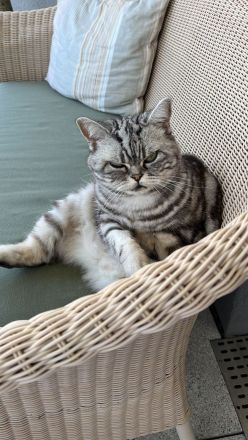 BKH Geschwister Giulietta und Gettone