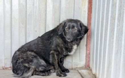 Kleiner Schatz Augustus möchte Neustart