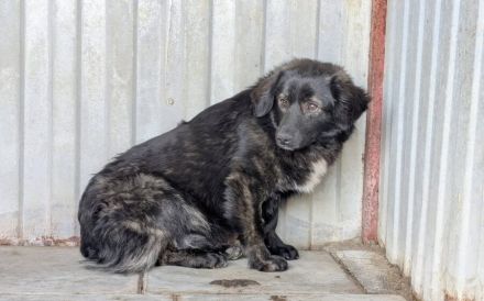 Kleiner Schatz Augustus möchte Neustart