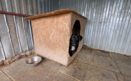 Kleiner Schatz Augustus möchte Neustart