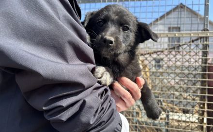 Lesedi sucht ihre Menschen