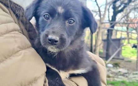 Lesedi sucht ihre Menschen