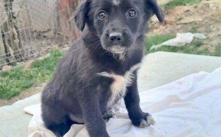 Lesedi sucht ihre Menschen