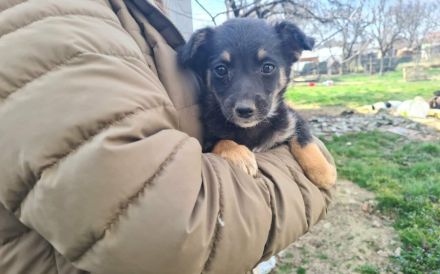 Kleine Lorea möchte ihr Köfferchen packen
