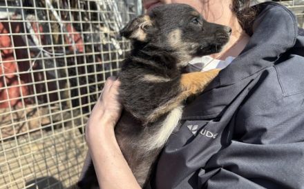 Kleine Lorea möchte ihr Köfferchen packen