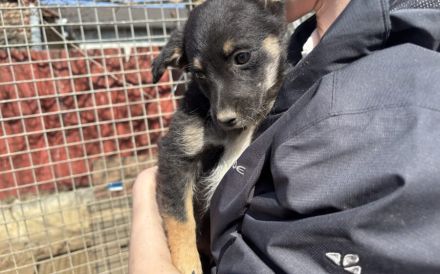 Kleine Lorea möchte ihr Köfferchen packen