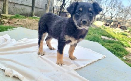 Kleine Lorea möchte ihr Köfferchen packen