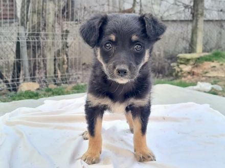 Kleine Lorea möchte ihr Köfferchen packen