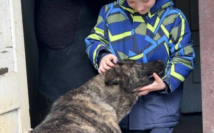 Gestromte Schönheit George sucht Zuhause