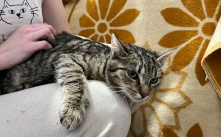 Saloman sucht seinen sicheren Hafen