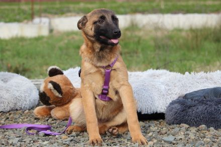 Kessy unsere große Schönheit...