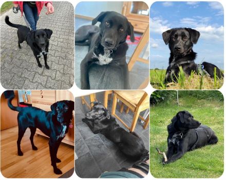 Mila möchte nun gerne ankommen, hat doch schon so viel gelernt!