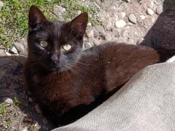 Lilian und Oliver