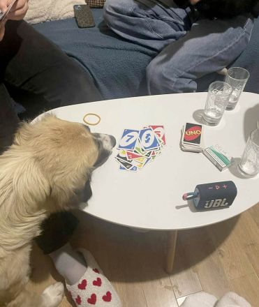 Odette möchte eine feine, sanfte Begleiterin sein