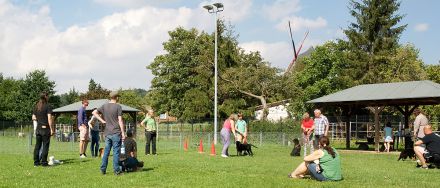 Die Welpenschule - Training für Hund und Mensch